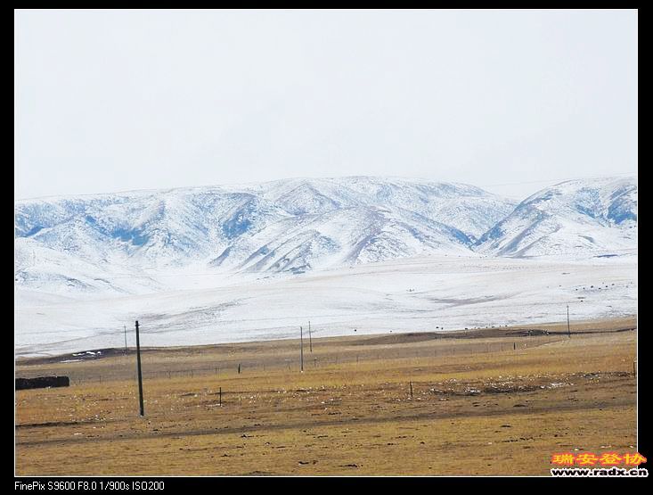 昨晚下了一场大雪