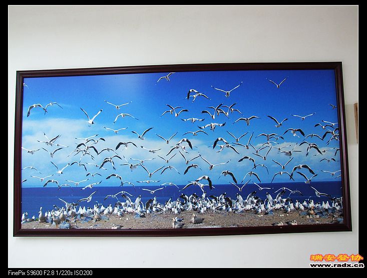 摄影家眼下的青海风光