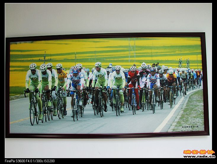 每年7月15日环青海湖国际自行车比赛