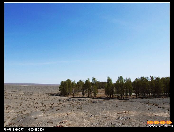 绿州之外是戈壁滩，一望无际