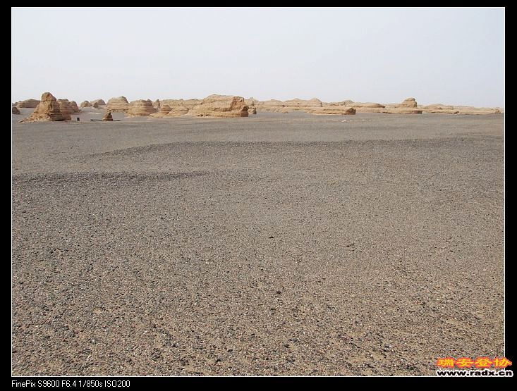 非常均匀的黑沙石覆盖在黄土上，是大自然的奇迹