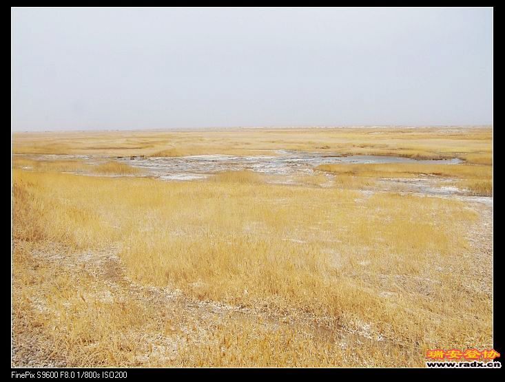 其背后是块沼泽盐地，很美很美