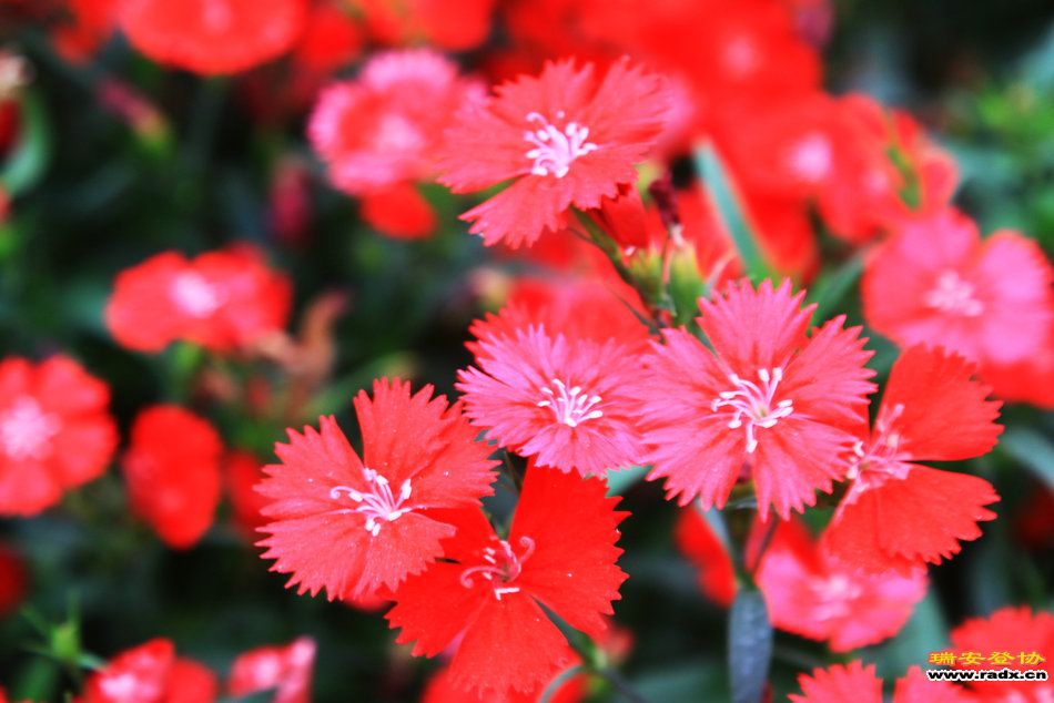 照片 557.jpg