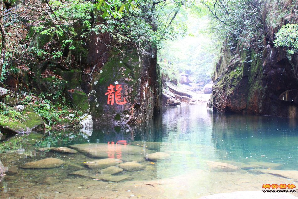 照片 446.jpg