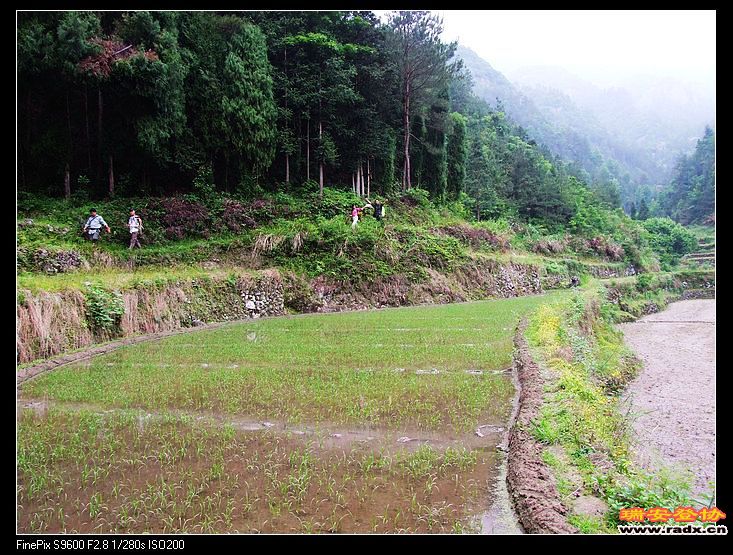 原汁原味的田野风光