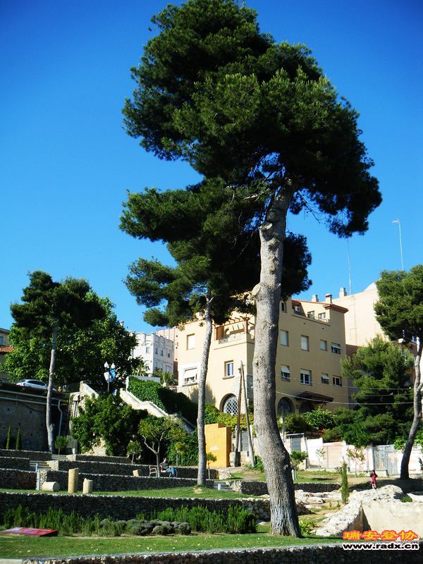 nEO_IMG_风情西班牙 047.jpg