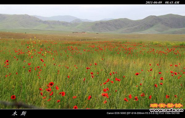 伊犁环线 (742).jpg