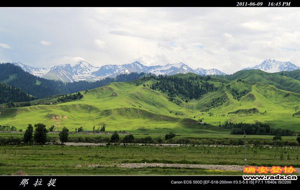 伊犁环线 (836).jpg