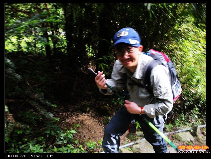 人物对号入座。