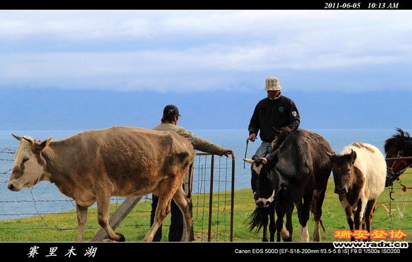 伊犁环线 (35).jpg