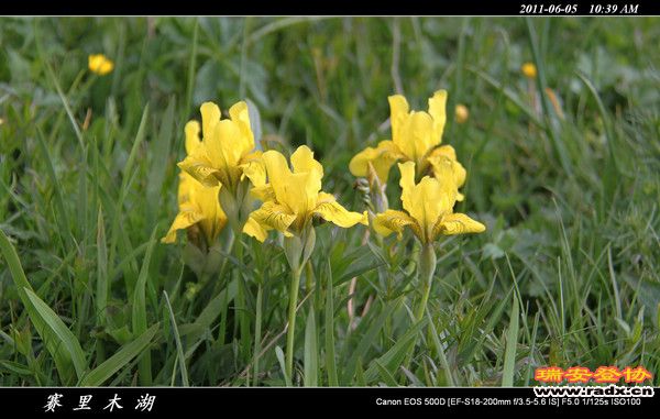 伊犁环线 (65).jpg