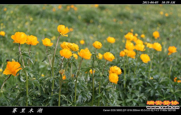 伊犁环线 (64).jpg