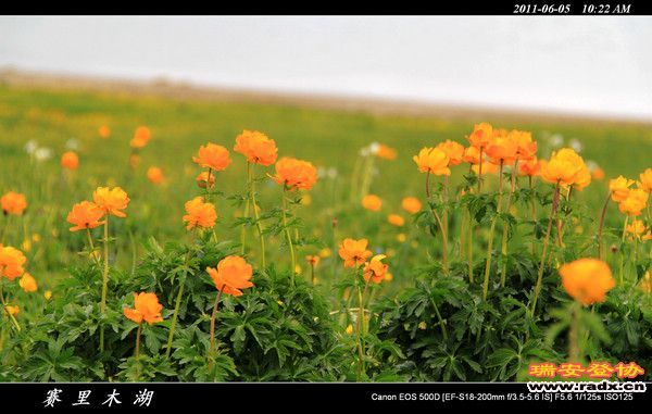 伊犁环线 (48).jpg