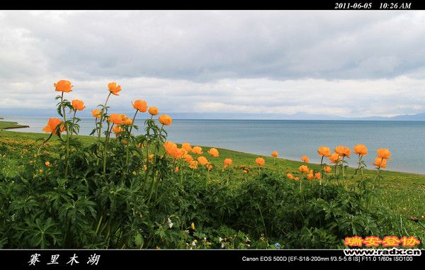 伊犁环线 (51).jpg