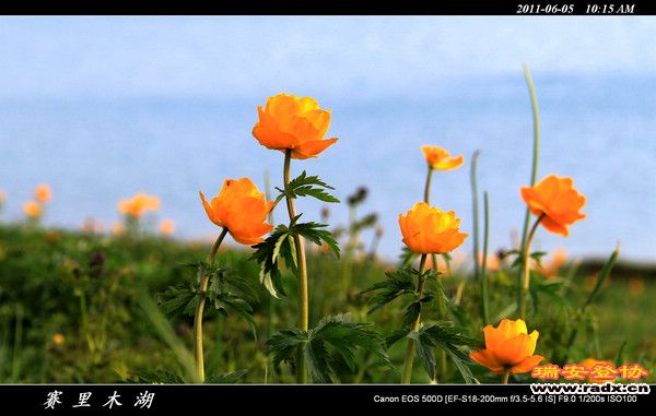 伊犁环线 (40).jpg