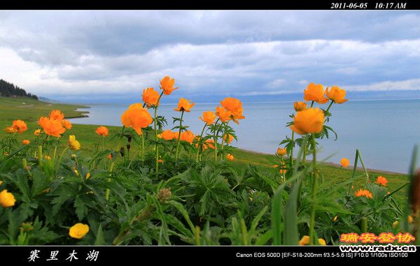 伊犁环线 (42).jpg