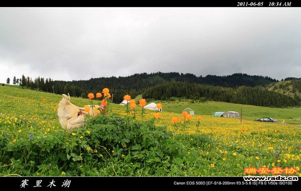 伊犁环线 (59).jpg