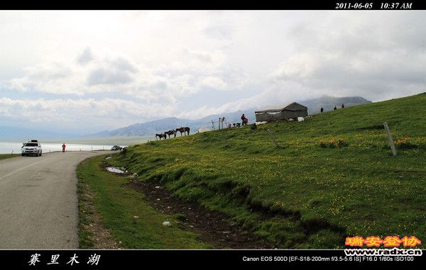 伊犁环线 (63).jpg