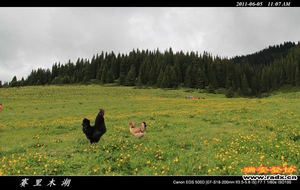 伊犁环线 (95).jpg