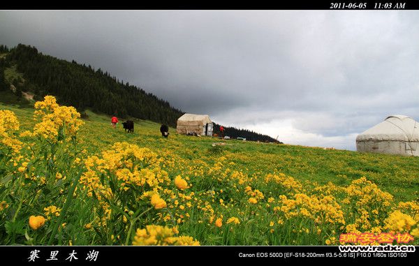 伊犁环线 (83).jpg