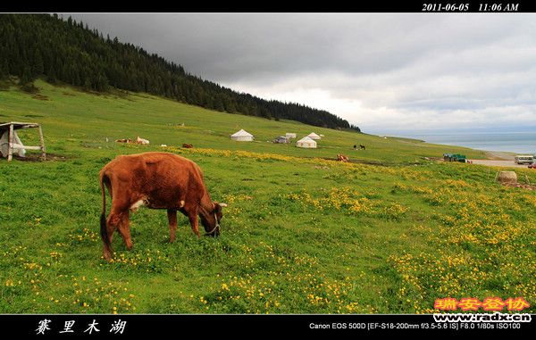 伊犁环线 (92).jpg