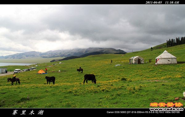 伊犁环线 (97).jpg