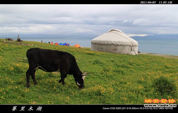 伊犁环线 (88).jpg