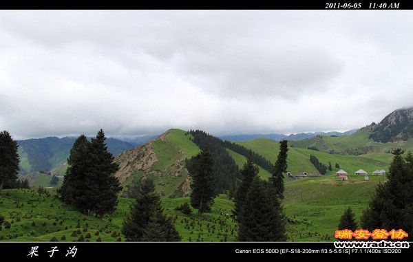 伊犁环线 (119).jpg