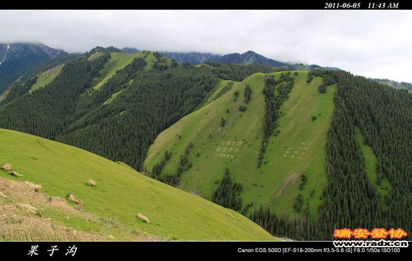 伊犁环线 (121).jpg