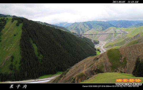 伊犁环线 (122).jpg