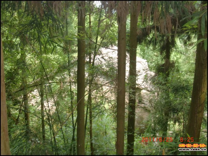 2011,6.25九潭 007.jpg