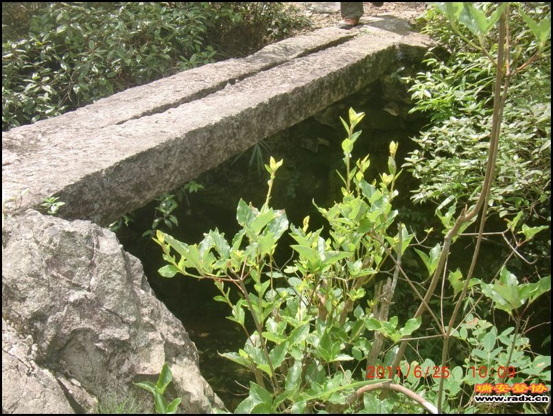 2011,6.25九潭 028.jpg