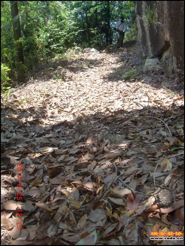 2011,6.25九潭 043.jpg