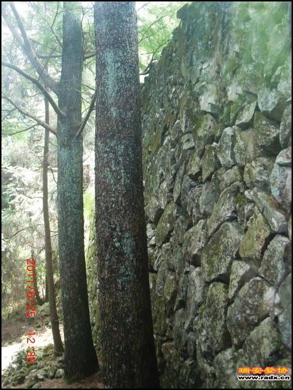 2011,6.25九潭 044.jpg