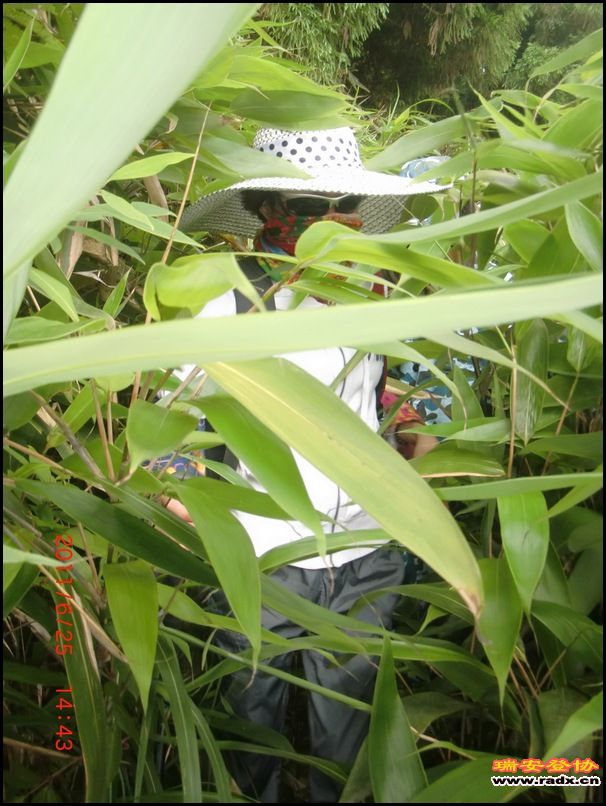 2011,6.25九潭 059.jpg