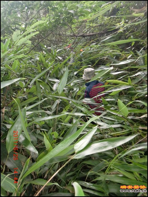 2011,6.25九潭 060.jpg