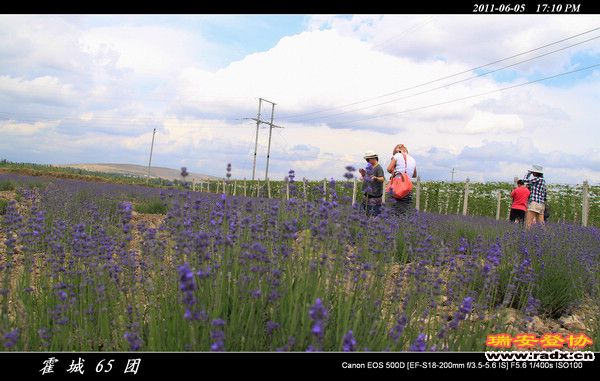 伊犁环线 (156).jpg