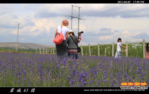 伊犁环线 (155).jpg