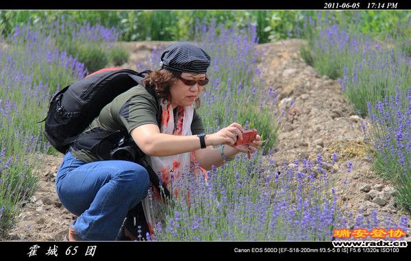 伊犁环线 (161).jpg