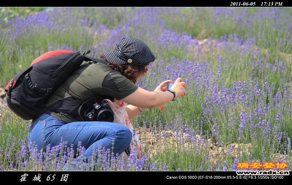 伊犁环线 (160).jpg