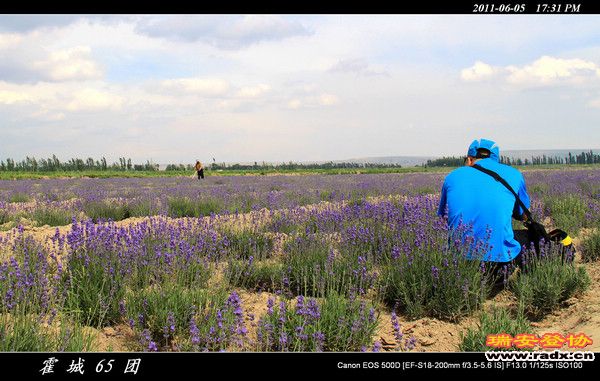 伊犁环线 (163).jpg