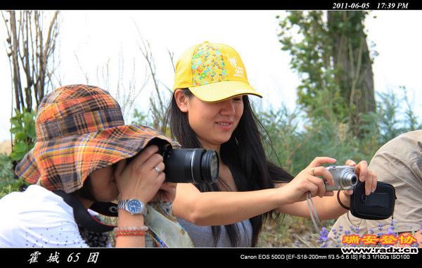 伊犁环线 (172).jpg