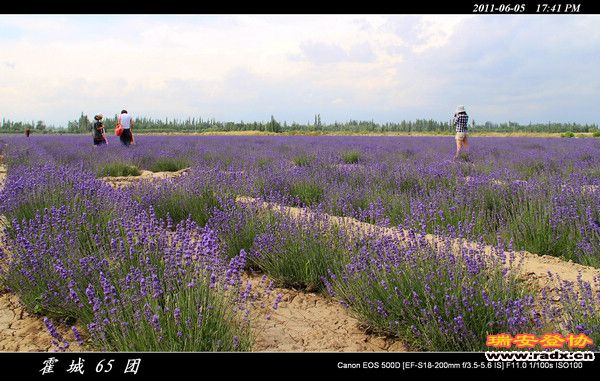 伊犁环线 (176).jpg