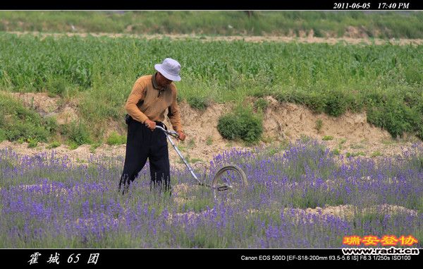 伊犁环线 (175).jpg