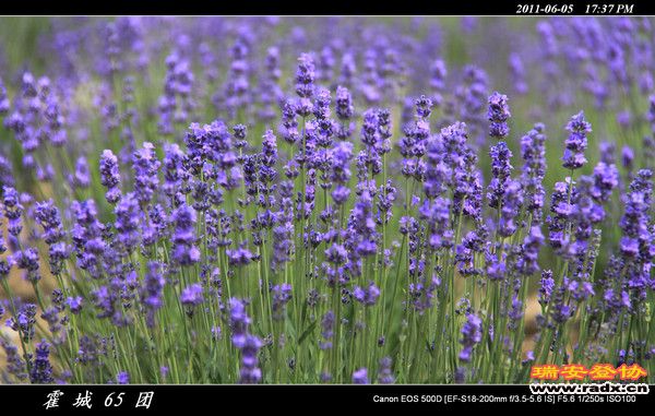 伊犁环线 (168).jpg