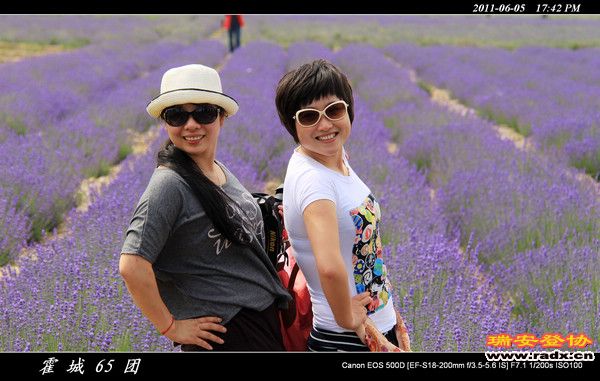 伊犁环线 (177).jpg