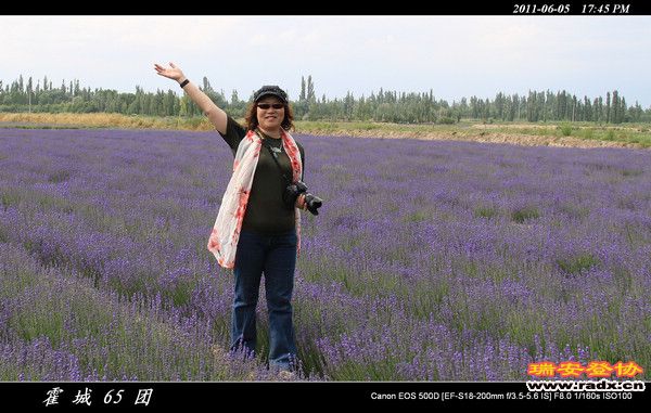 伊犁环线 (188).jpg