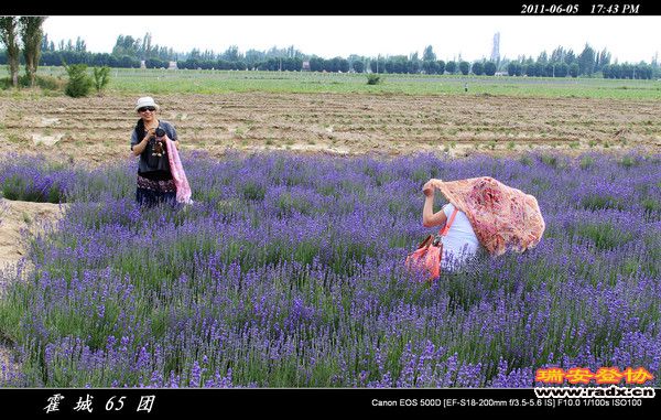 伊犁环线 (183).jpg