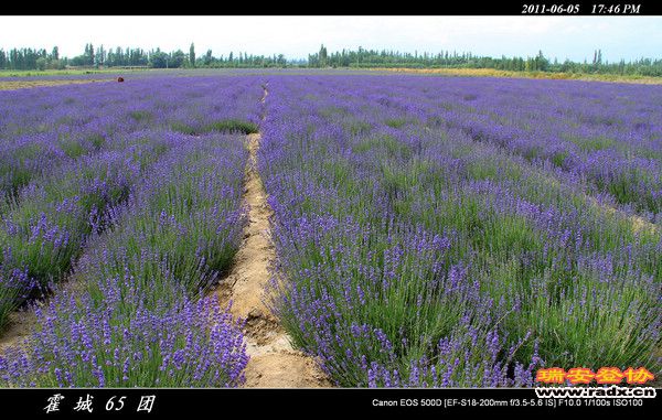 伊犁环线 (189).jpg