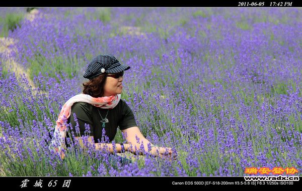 伊犁环线 (179).jpg